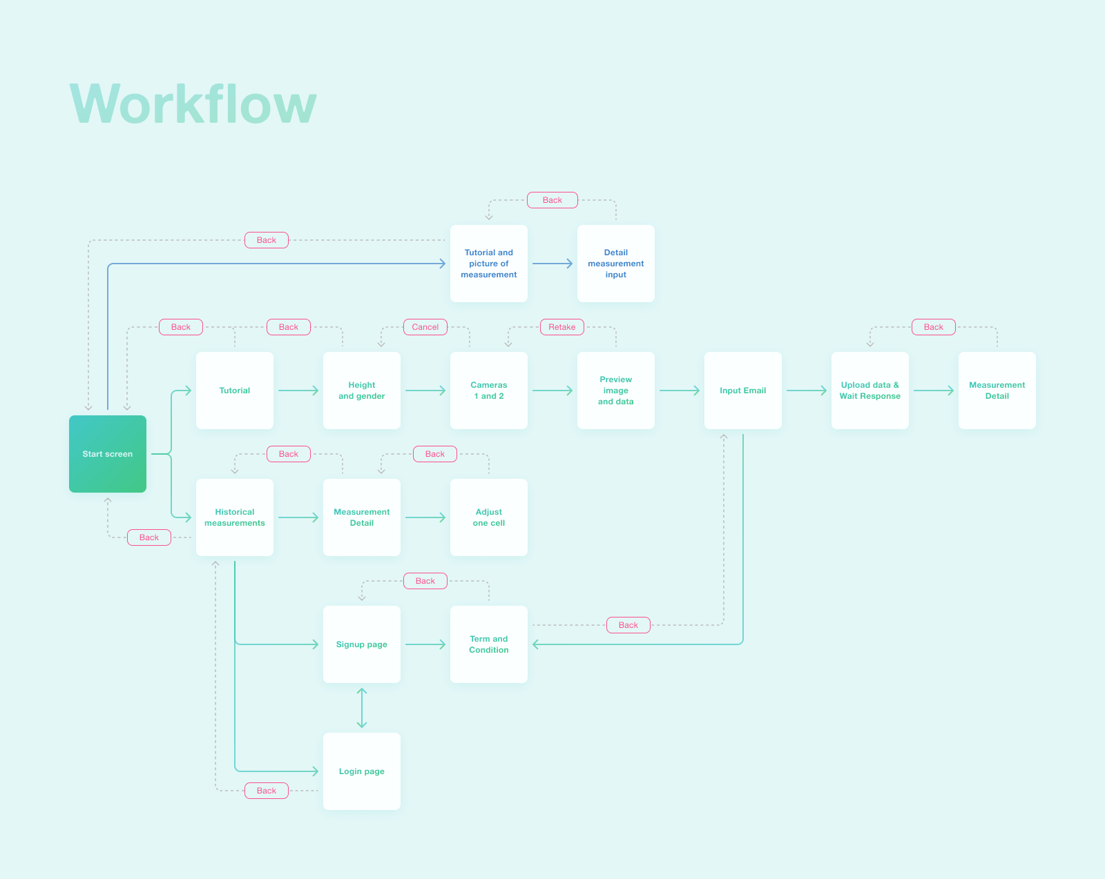 Overview of The Workflow